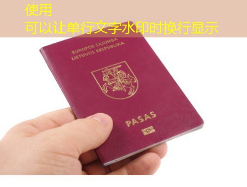 南美移民永居办理中介：一条通往“地球另一端”的捷径？